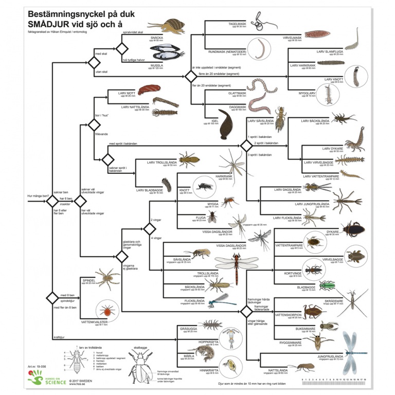 Bestämningsnyckel sjö o å, plast FÄRG