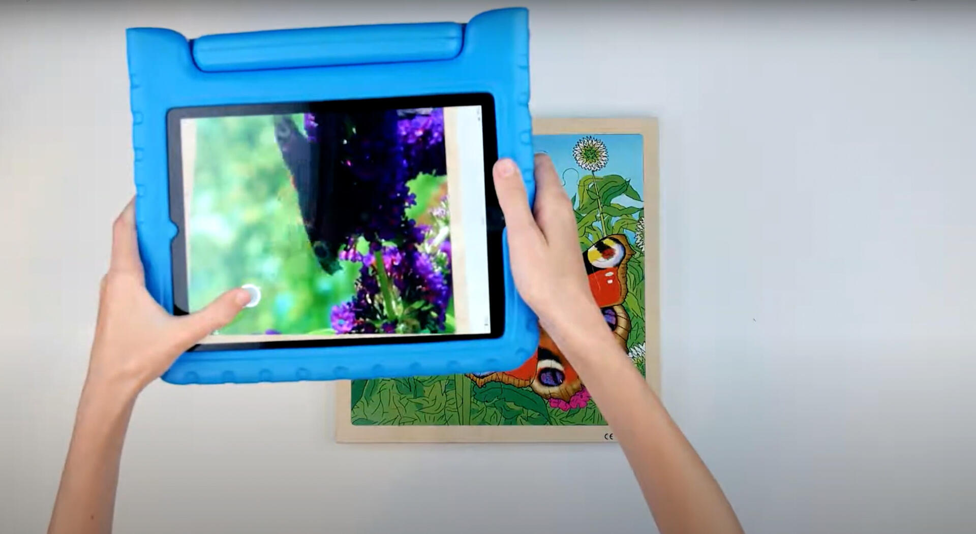 Pussel Fjärilens livscykel - Bild 4