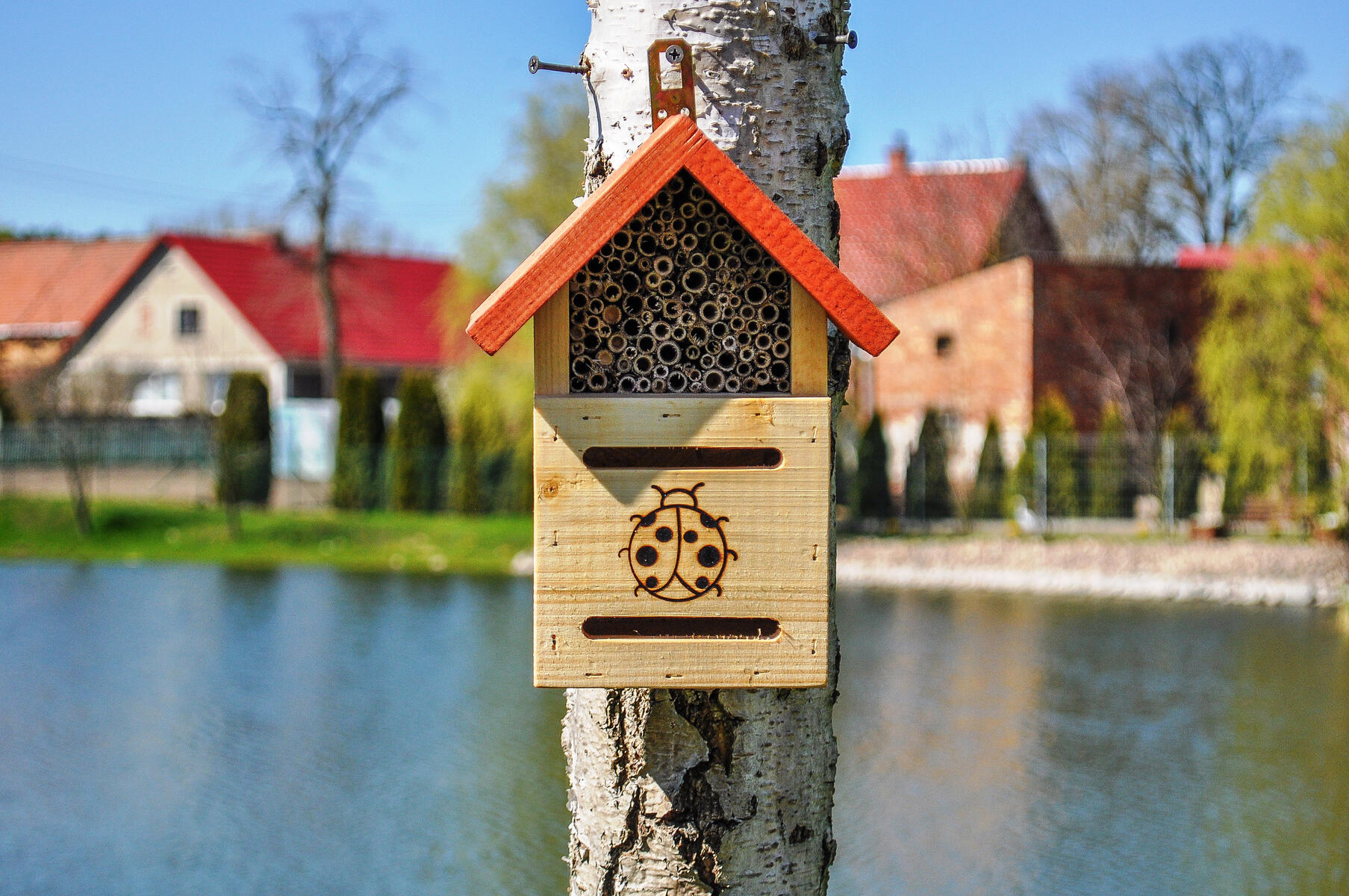 Nyckelpigehus - Bild 4