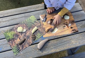 Förhistoriska tänder, aktivitetskort