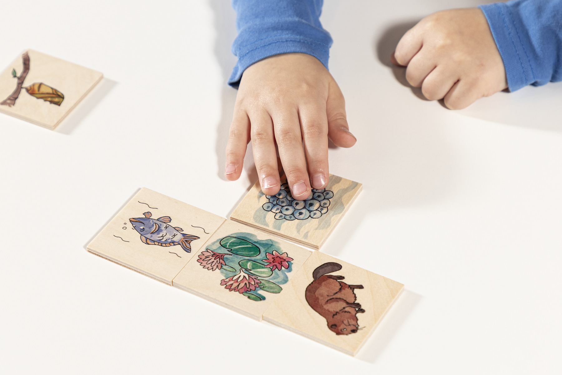 Domino - Djur & natur - Bild 5