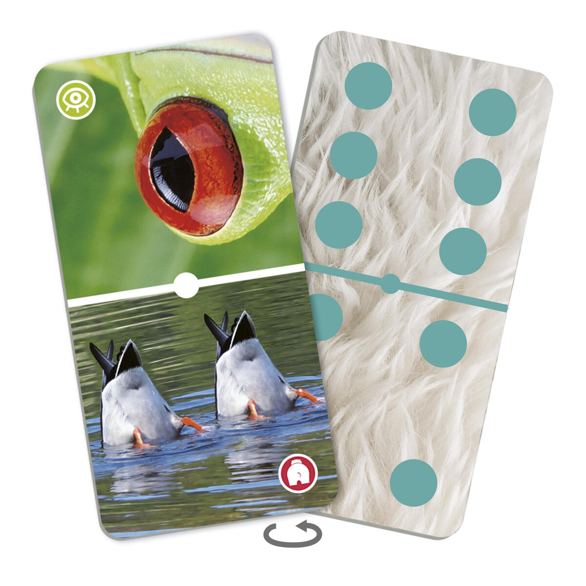 Domino Närbilder på djur - spel