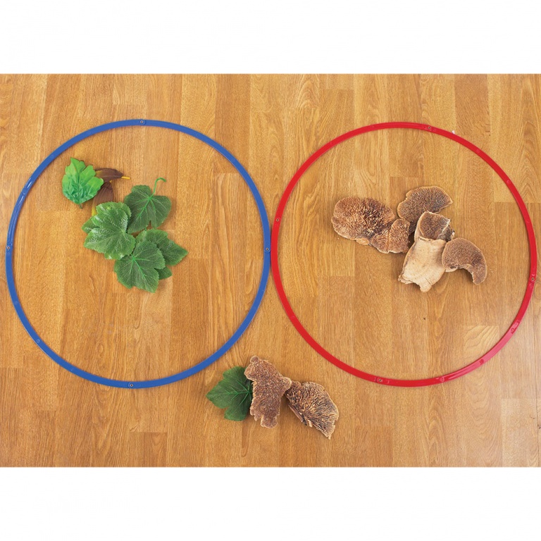 Sorteringsringar 6st - Bild 3