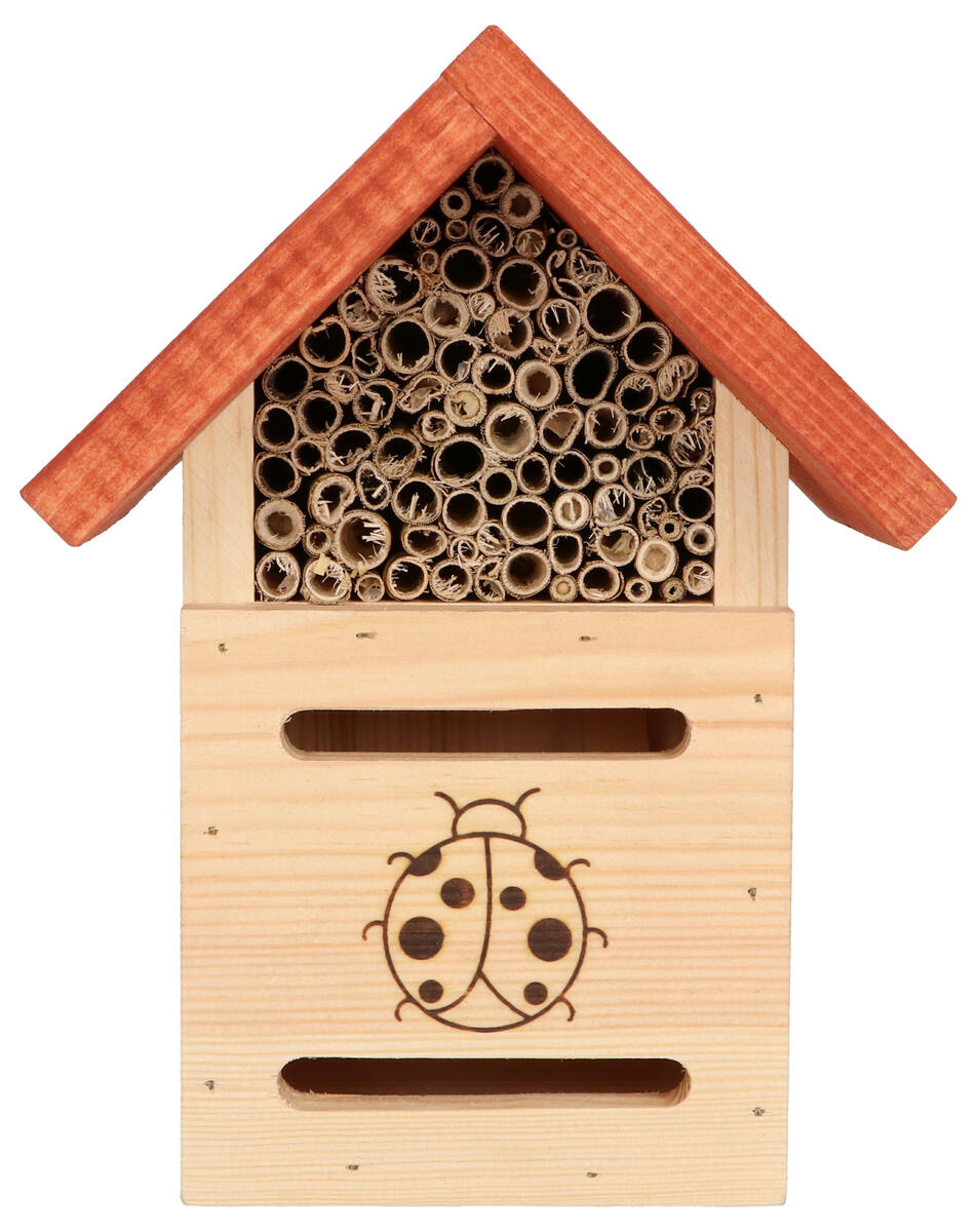 Nyckelpigehus - Bild 2