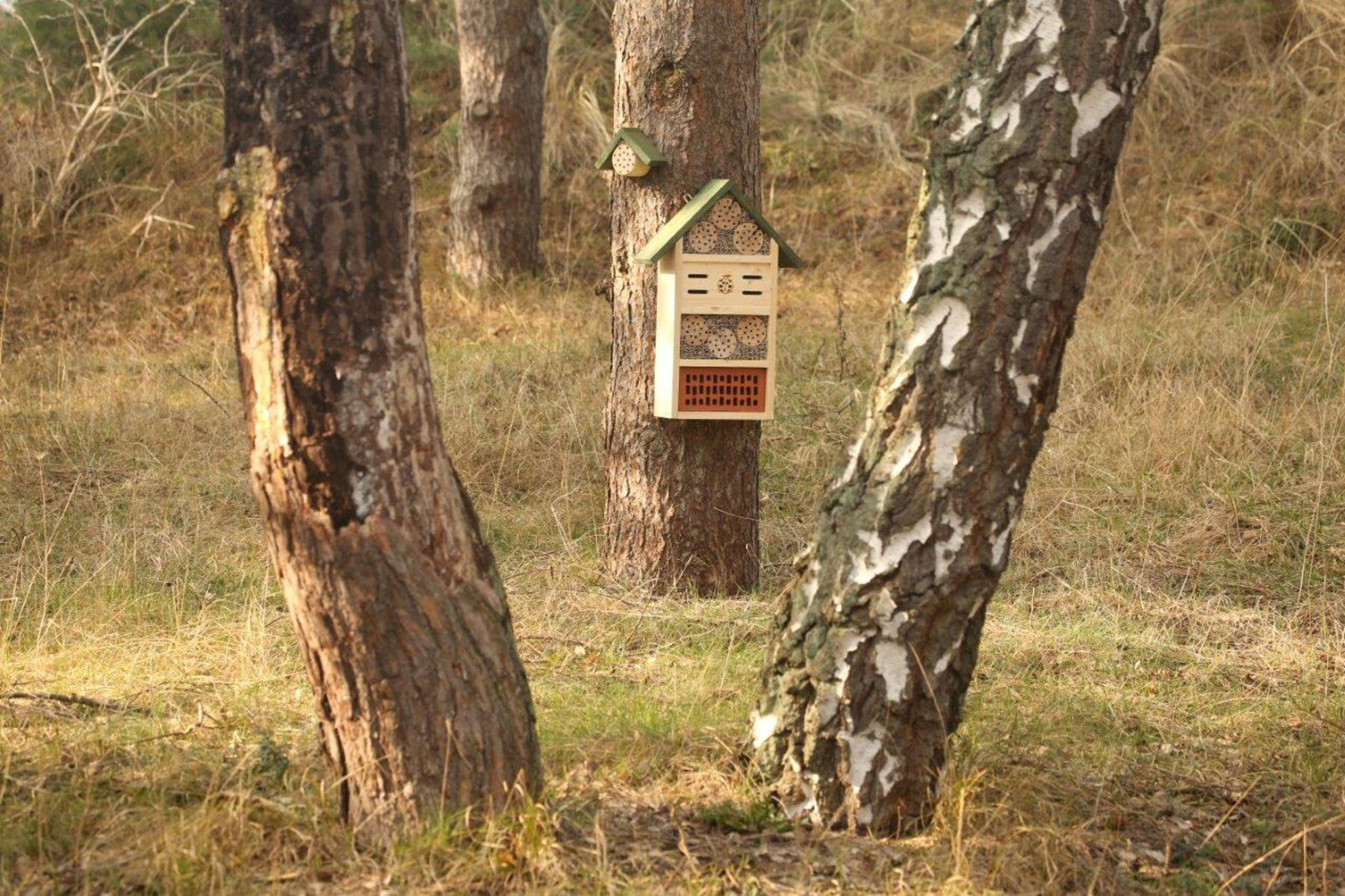 Insektshotell mellan - Bild 4