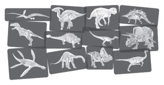 3a65c17e3f413fb494dbf53bc81df089_0001.jpg Röntgenbilder Dinosaurier