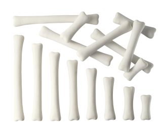 40844c31792cbdb947d00e55fd11555c_0001.jpg Dinosaurieben