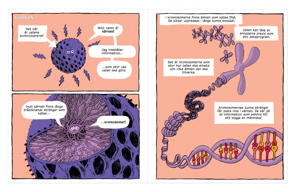 Celler och inre organ, bok - Bild 2