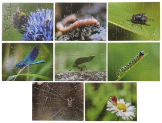 Pussel, olika småkryp 8 st/fp