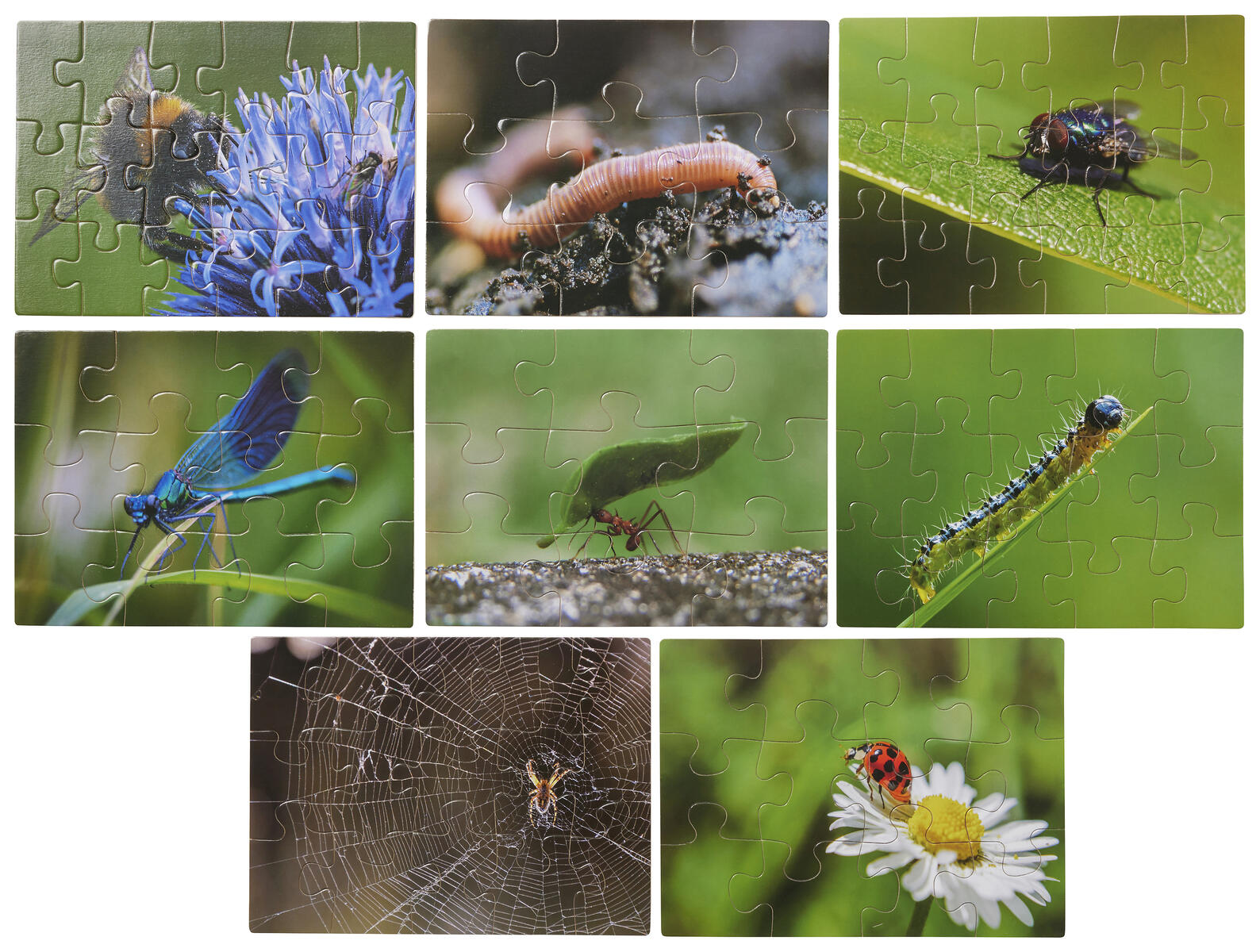 Pussel, olika småkryp 8 st/fp