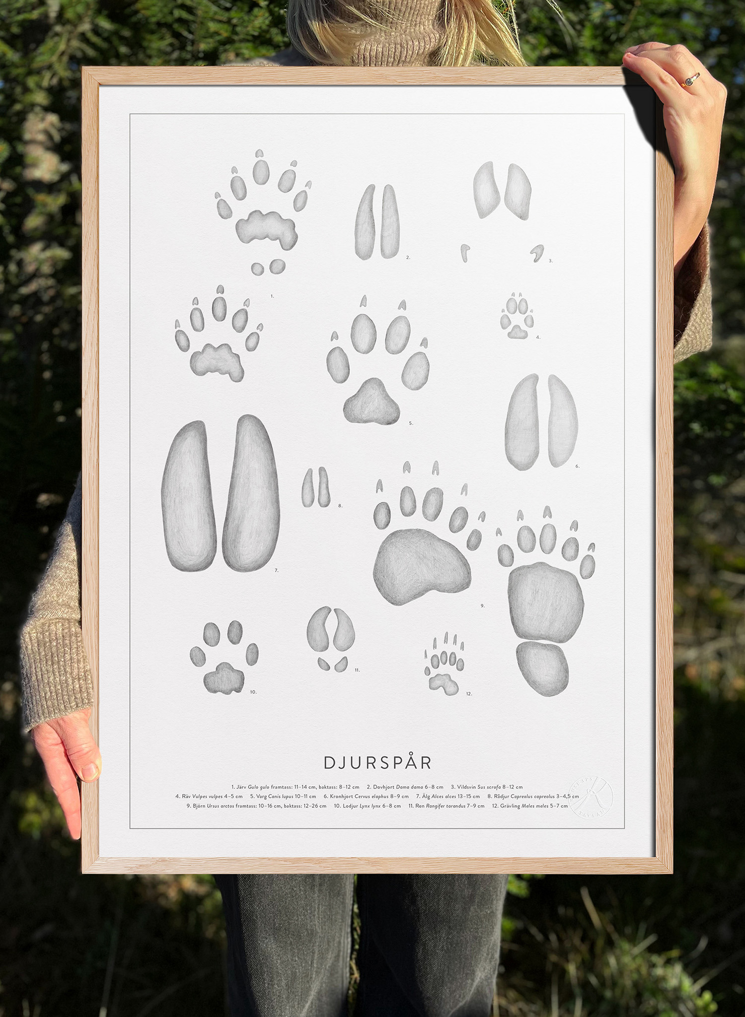Affisch djurspår, Kunskapstavlan® 50x70 cm - Bild 2