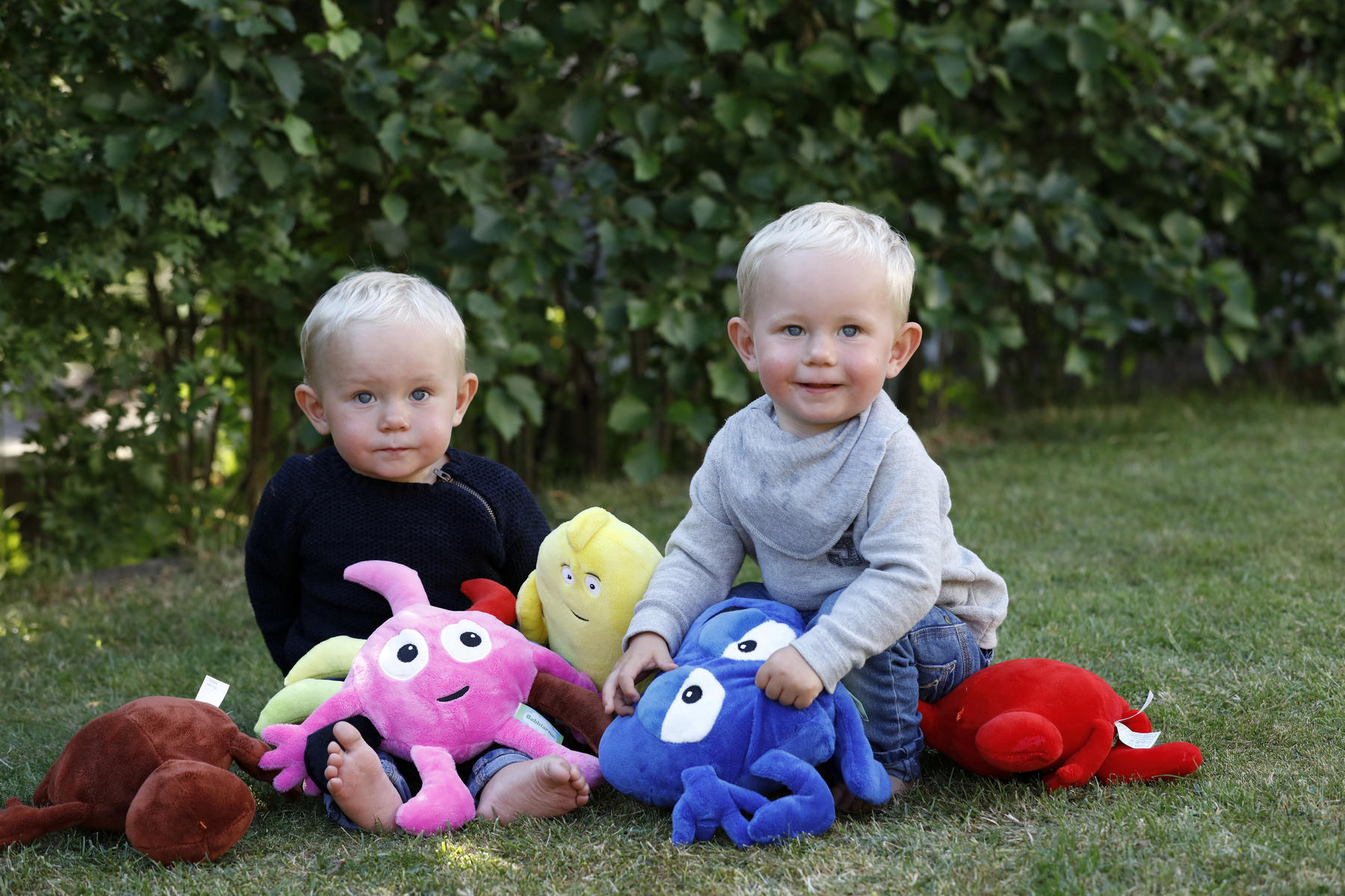 Babblarna paket med alla mjukisar - Bild 2