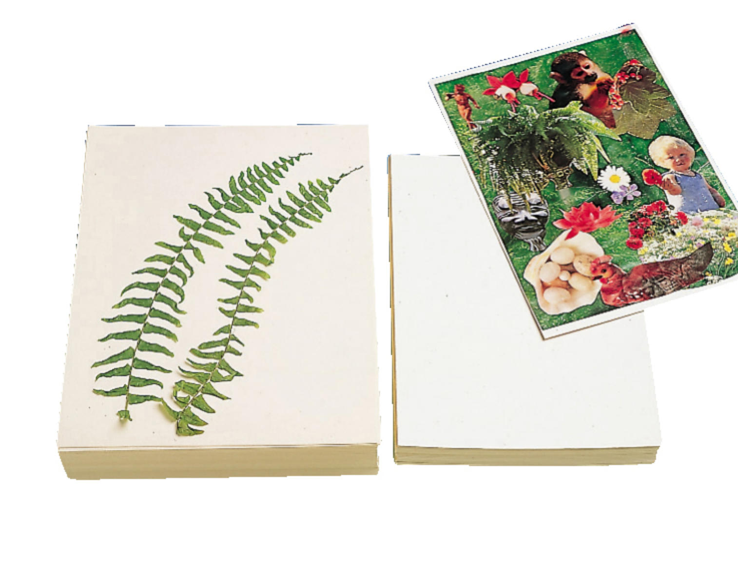 Herbariepapper - Bild 2