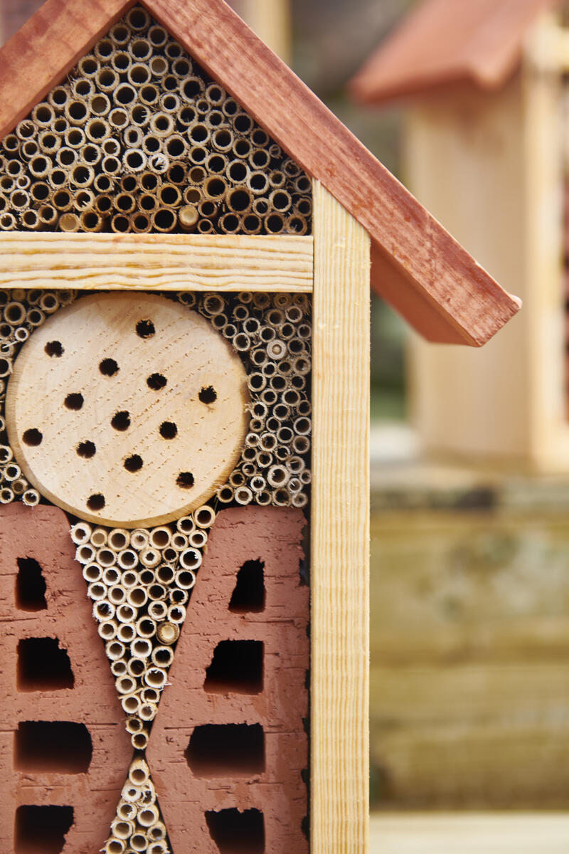 Insektshotell litet - Bild 2