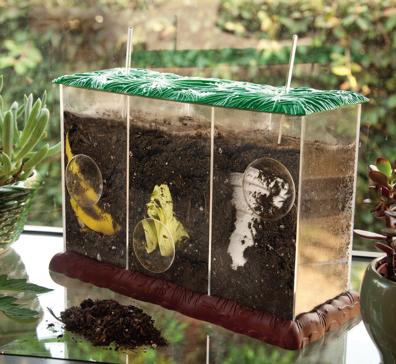 Transparent kompostbehållare - Bild 3