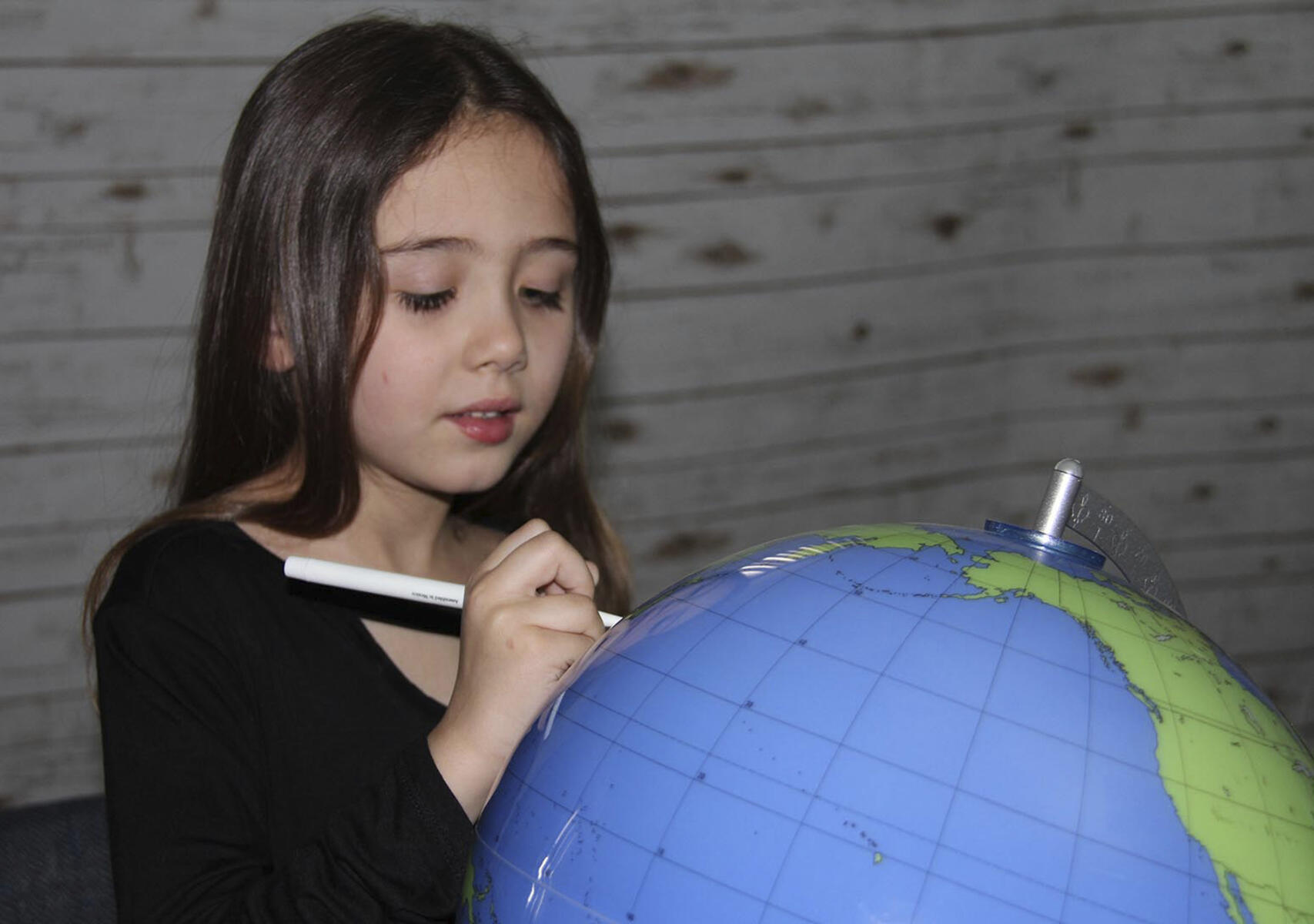 Jordglob med whiteboardyta - Bild 2