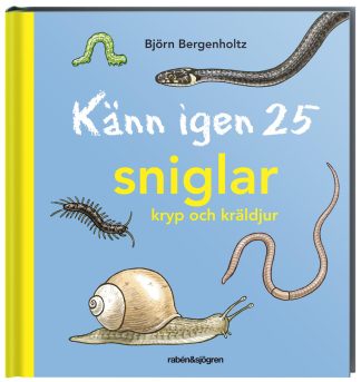 Känn igen 25 sniglar, kryp och kräldjur - Bok