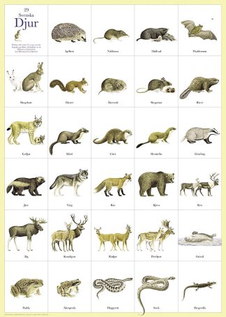 Affisch Svenska Djur