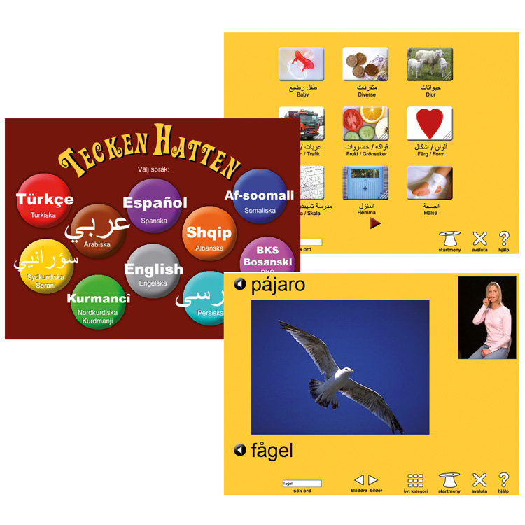 TeckenHatten 10 språk - Bild 2