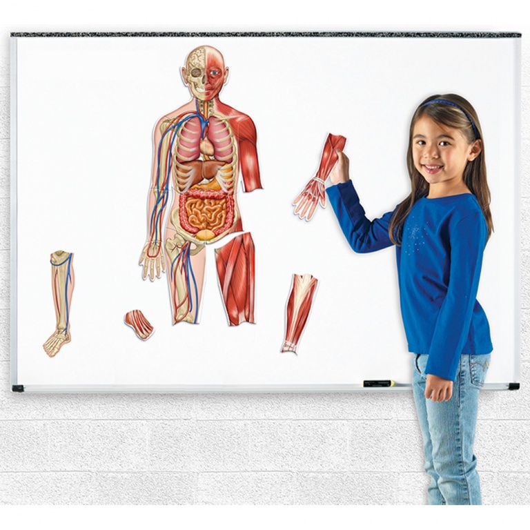 Magnetisk människa - Bild 2