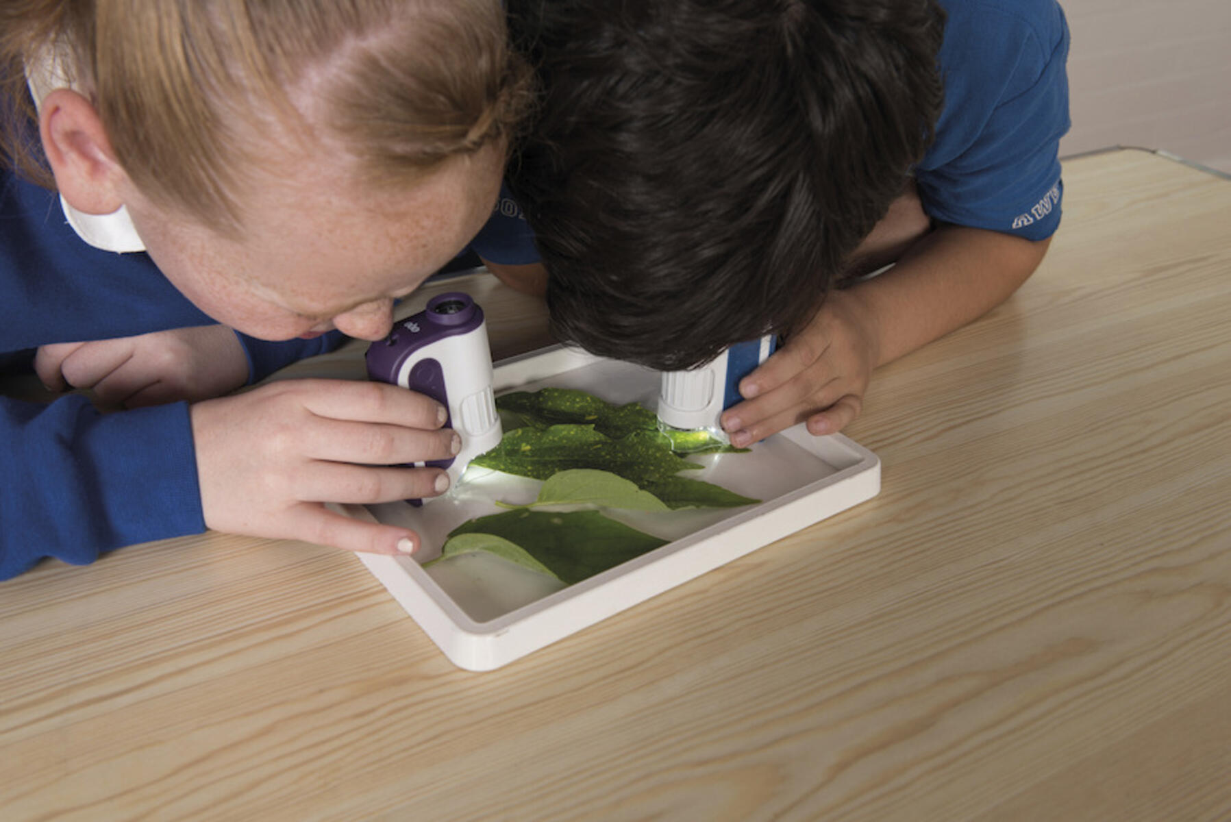 Mikroskop handmodell, 6 st_fp - Bild 3