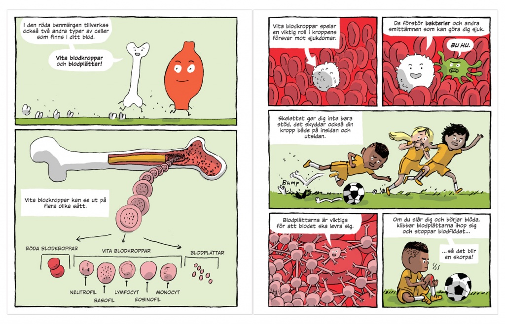 Skelett och muskler, bok - Bild 2