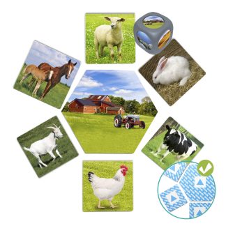 Klassificeringsspel Var bor djuren?