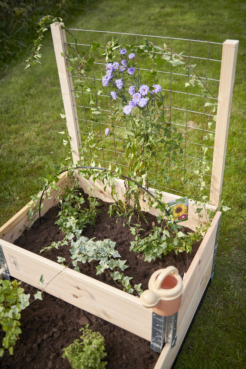 Planteringslåda 80x60 cm - Bild 2