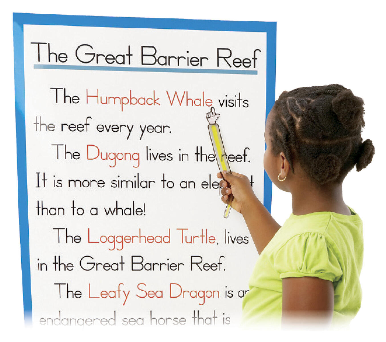 Pek- och läslinjal 12st - Bild 2