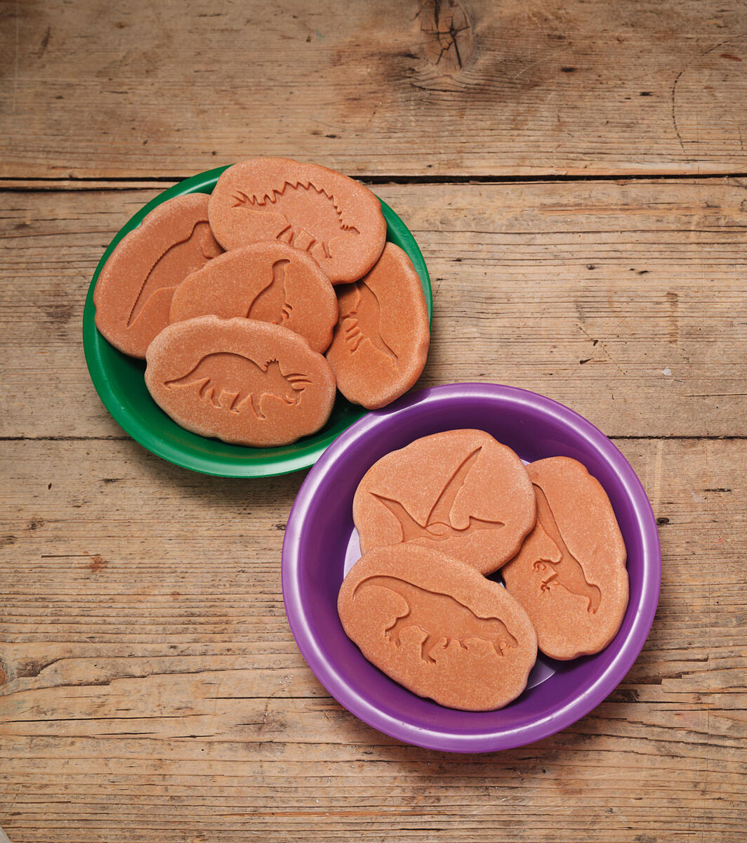 Dinosauriespår - Bild 3