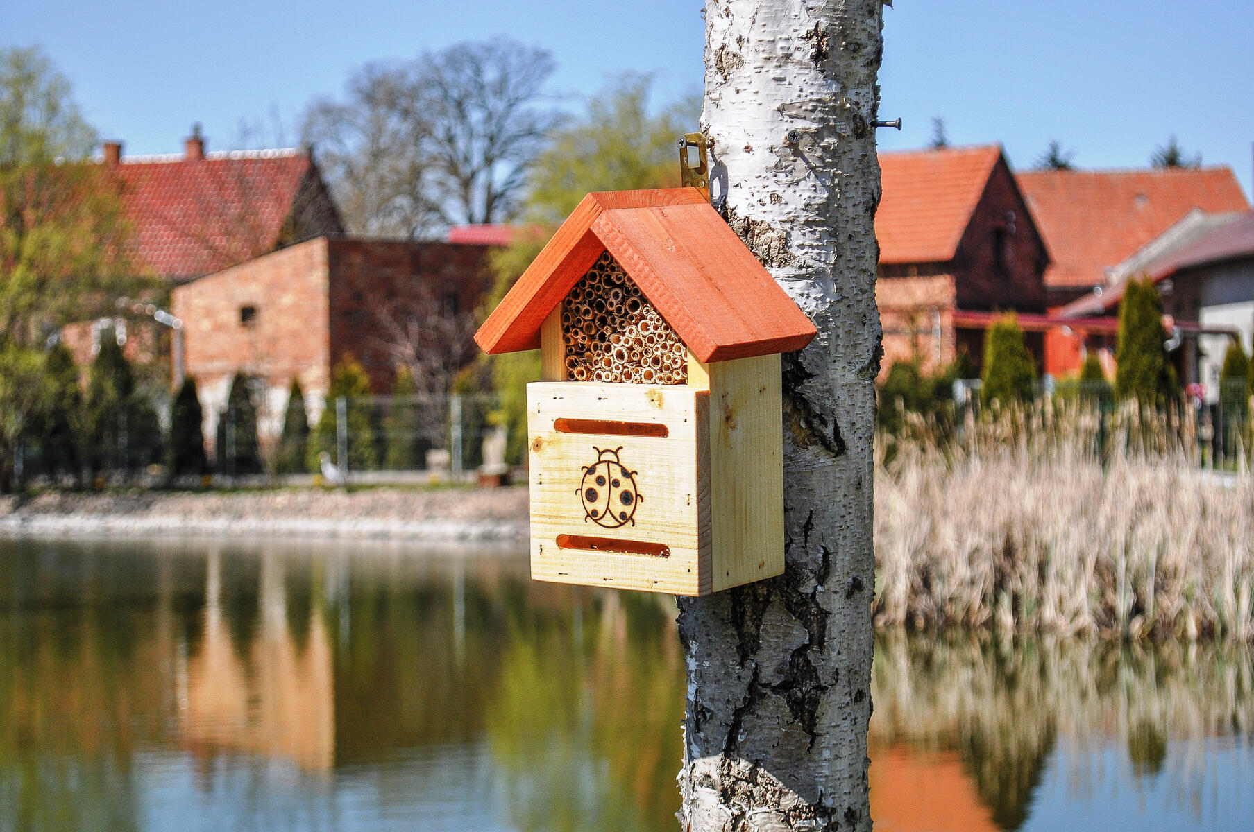 Nyckelpigehus - Bild 3