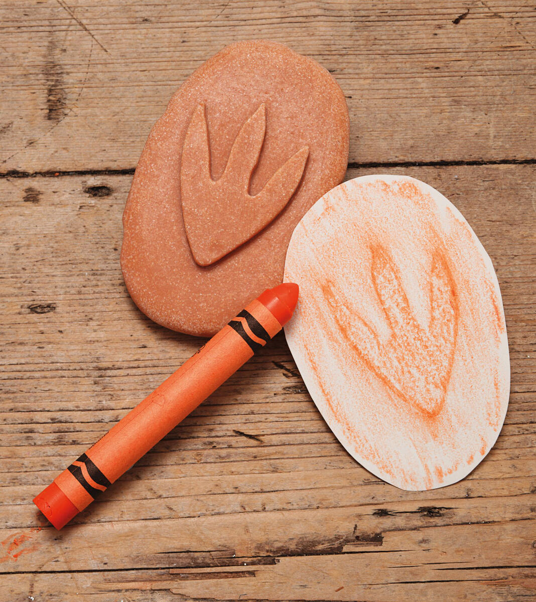 Dinosauriespår - Bild 2