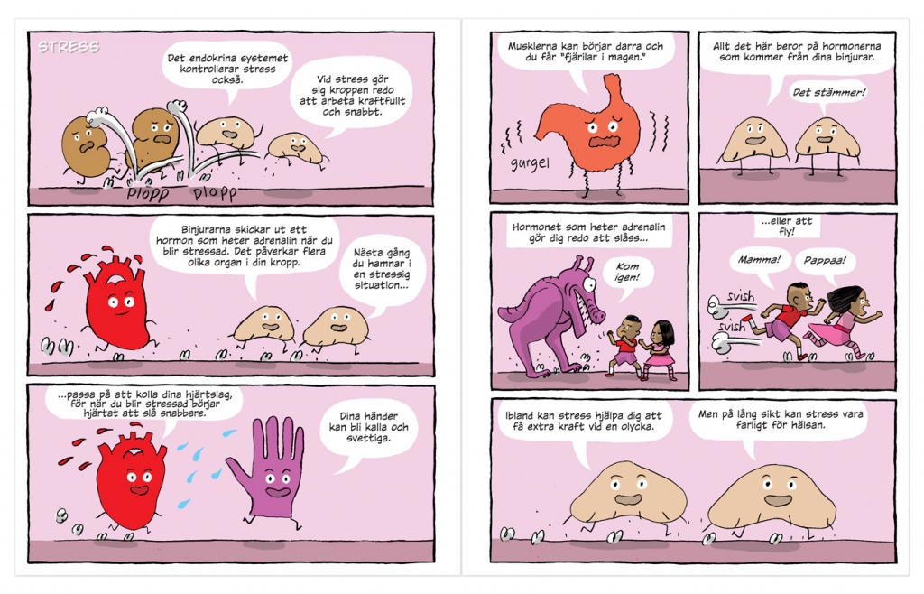 Hormoner, bok - Bild 3