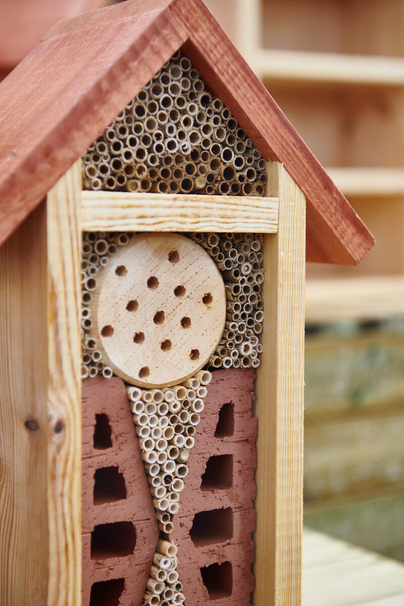 Insektshotell litet - Bild 4