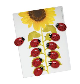 Nyckelpiga räkningsset