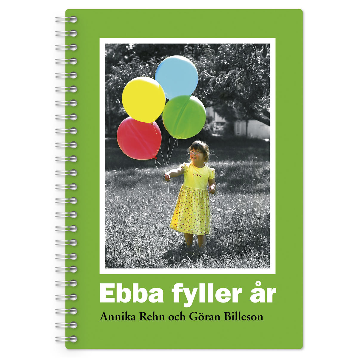 Ebba fyller år Bok