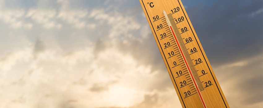 Temperatur & tidmätning