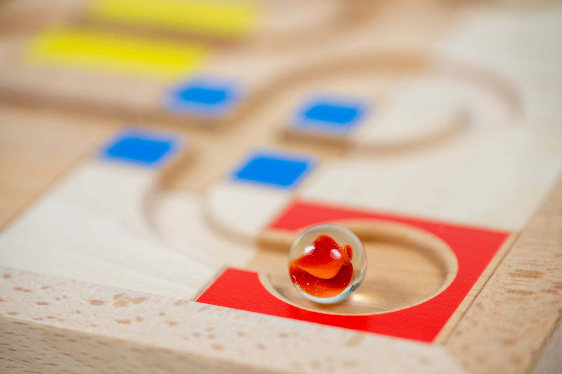 EDUCO Koda kulans väg - Bild 3