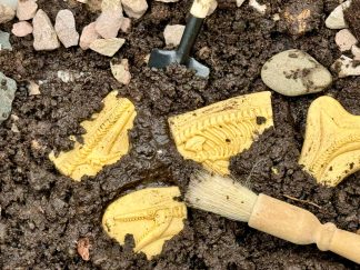 Gräv och upptäck-Pliosaur och Stegosaurus