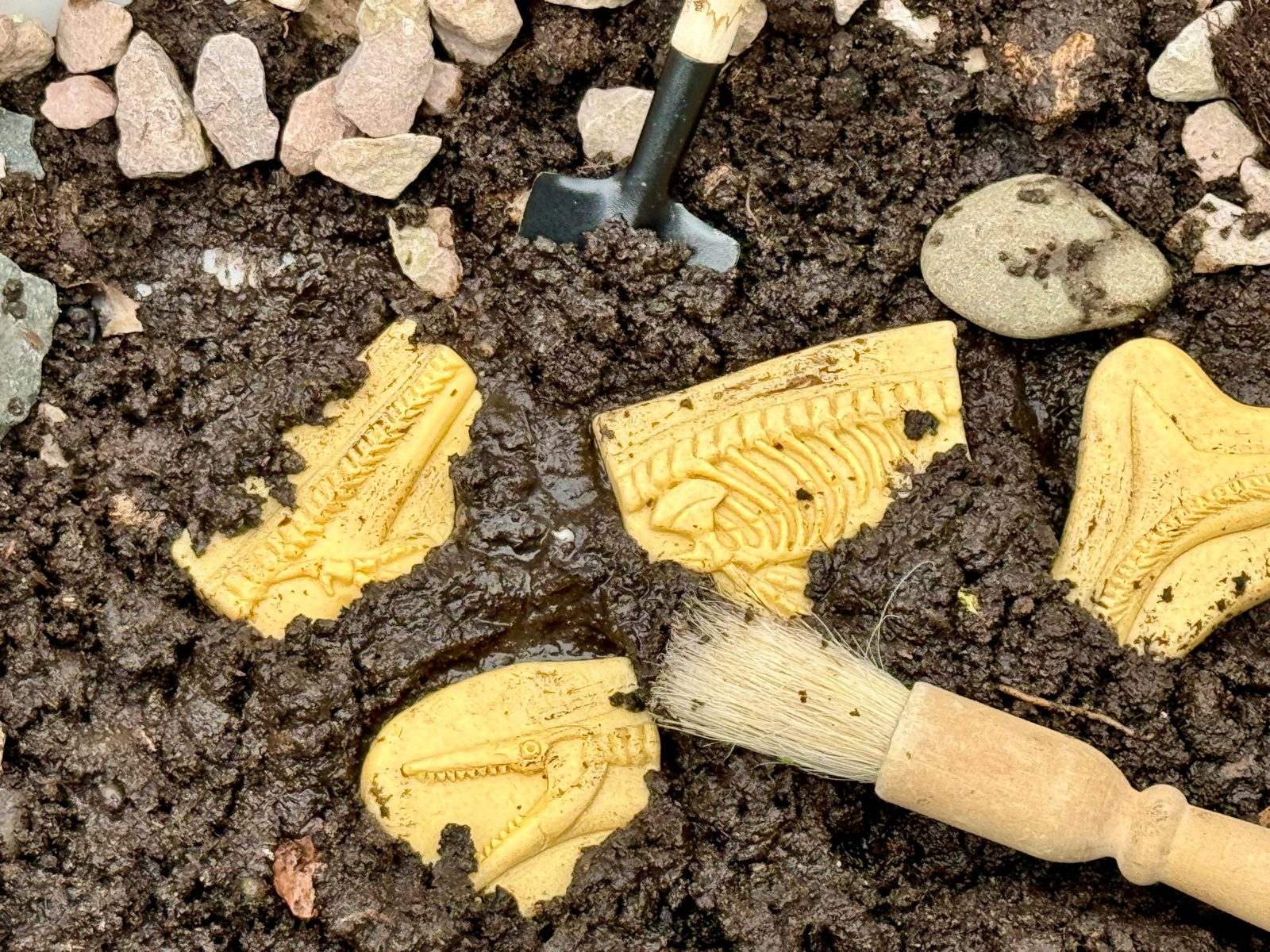 Gräv och upptäck-Pliosaur och Stegosaurus