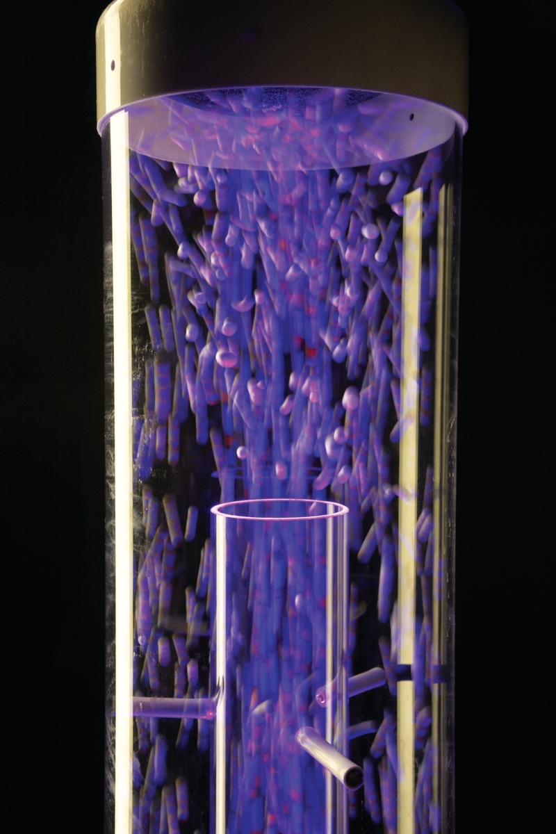 Luftrör för sinnena 200