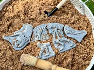 Gräv och upptäck-Triceratops och Stegoaurus