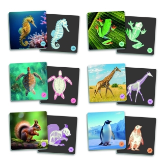 Memory Djur & skelett