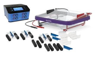 DNA-elektrofores testkit med strömkälla